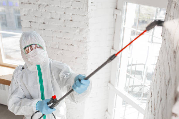 Best Emergency Mold Remediation  in Mikes, TX