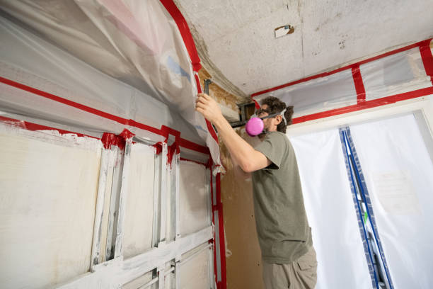 Trusted Mikes, TX Mold Removal Experts